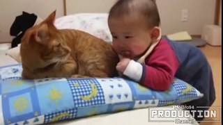 Babies annoying cats – Funny baby & cat compilation