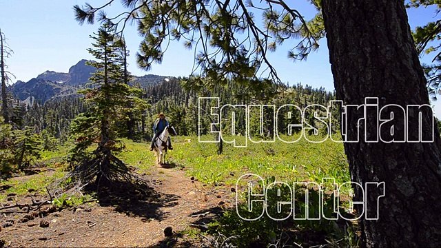 Hamilton MT Real Estate: 732 Pallo Trail