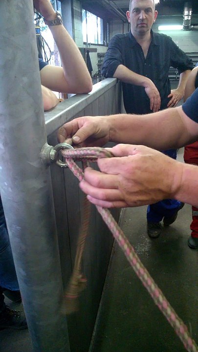 knoop