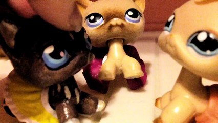 LPS Fever MV