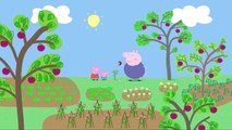 Peppa Pig English Episodes | Growing Strawberries #PeppaPig2016