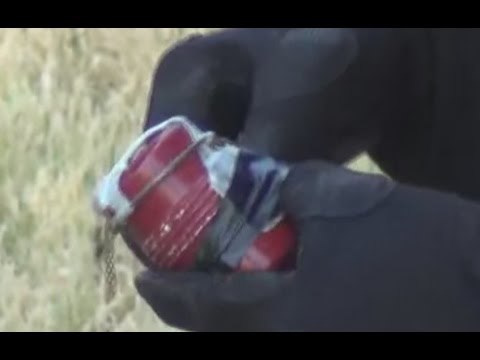 Palermo - Con una bomba a mano in giro per la città (11.06.16)