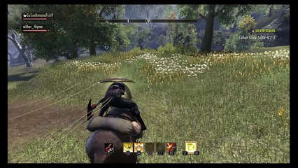 The Elder Scrolls Online: Tamriel Unlimited_20160613200111