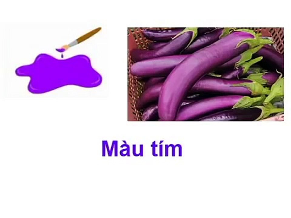 Dạy bé nhận biết các màu sắc cơ bản