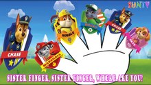 Paw Patrol Team Finger Family Song | Paw Patrol Finger Family Nursery Rhyme Lyrics | SUNTV