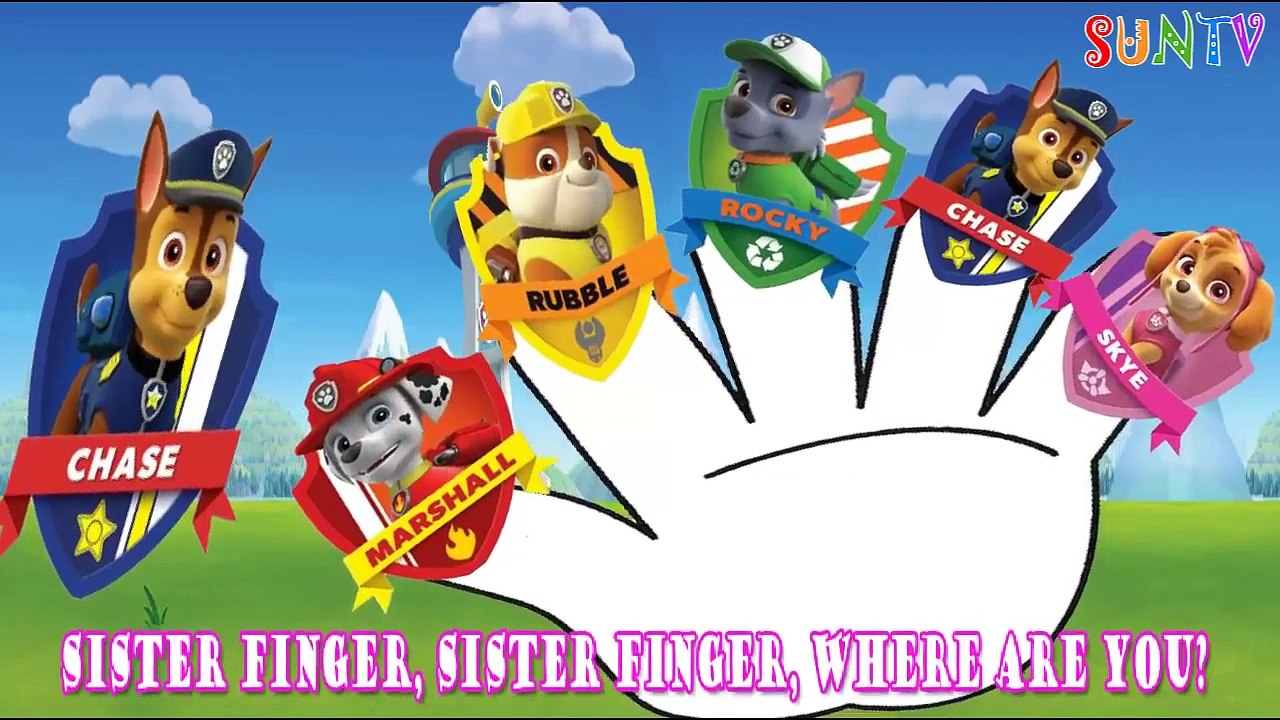 Paw Patrol Team Finger Family Song | Paw Patrol Finger Family Nursery Rhyme Lyrics | SUNTV