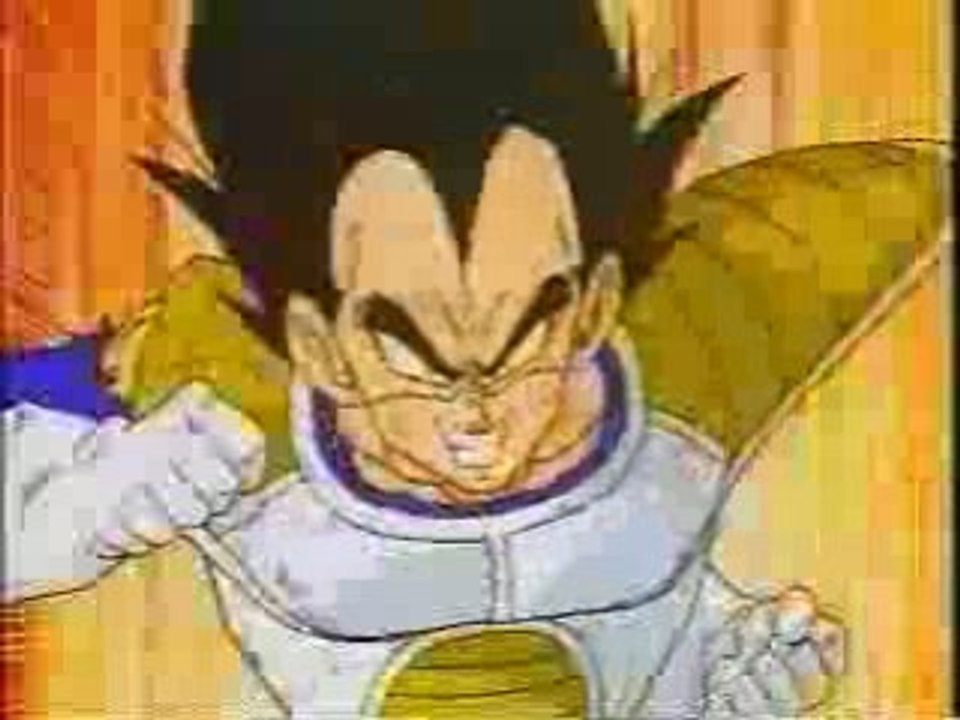 parodie vegeta