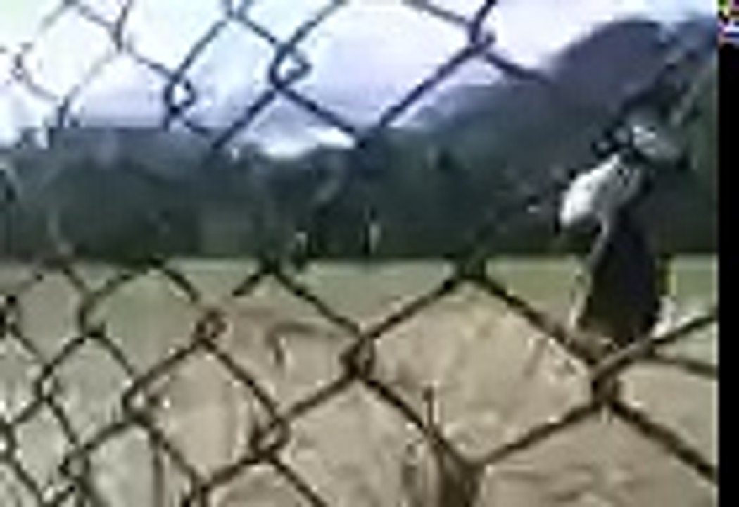 Regional Science High School III on February 20, 2009 (Part 29)