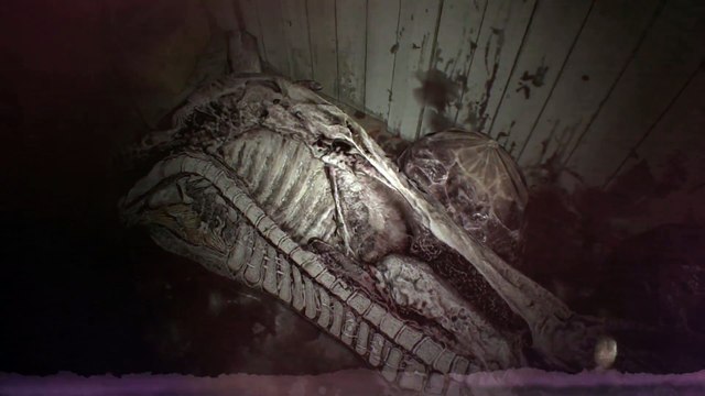 Resident Evil 7 Biohazard- TAPE-1 -Desolation- - E3 2016 Reveal Trailer - PS4