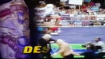 STING Clash of the Champions 2 the Fall Brawl (NWA, WCW, WWE)