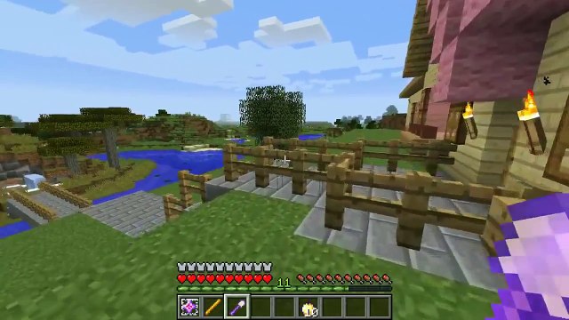 Minecraft: MORPH! (TURN INTO ANY MOB OR ANIMAL!) Custom Command - PopularMMOs