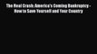 Download The Real Crash: America's Coming Bankruptcy - How to Save Yourself and Your Country