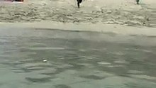 )))