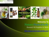 Pure Organic Natural Essential Oil Suppliers in India