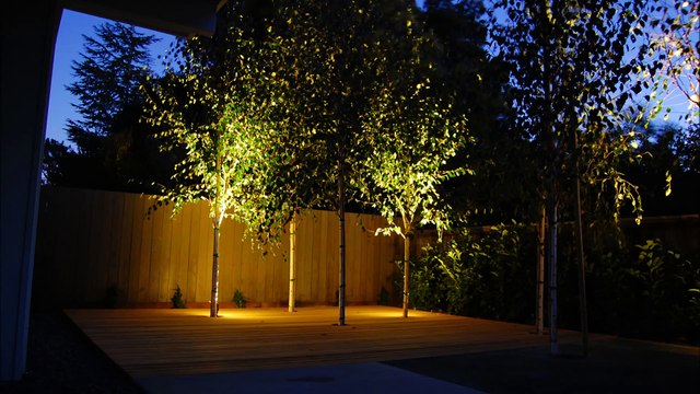 Landscape Outdoor Lighting Ideas