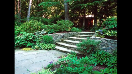 Landscaping Design Ideas