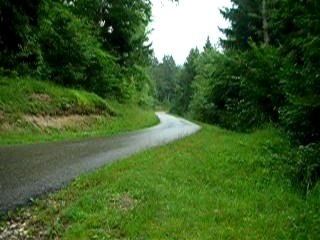 D173 Scratchy & Rems