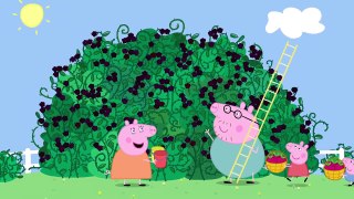 Peppa Pig - Mummy Pig In The Blackberry Bush (clip)