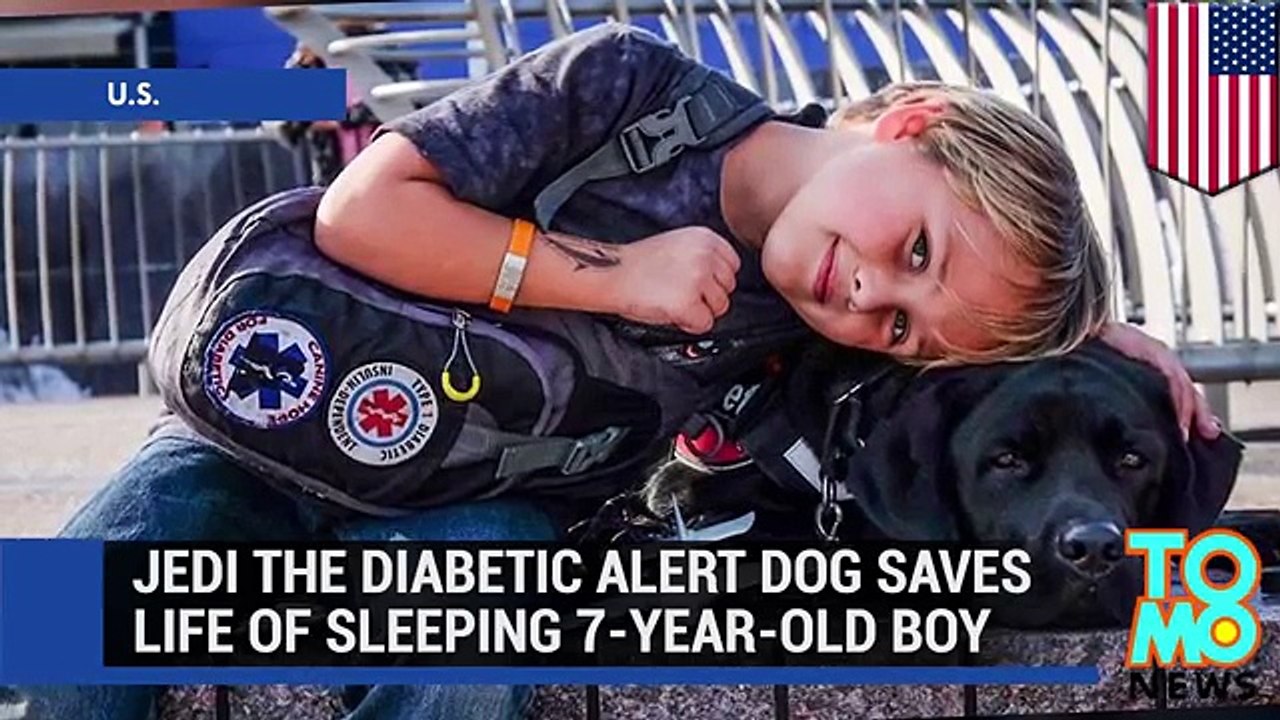 Il Cane Abbaia Nel Cuore Della Notte: Quando La Donna Si Sveglia Capisce Che Il Figlio è In Pericolo