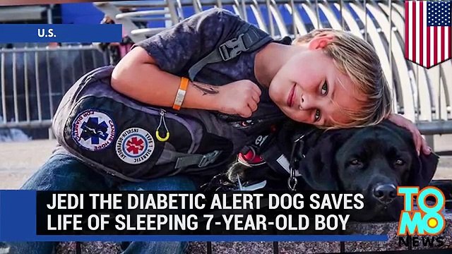 Il Cane Abbaia Nel Cuore Della Notte: Quando La Donna Si Sveglia Capisce Che Il Figlio è In Pericolo