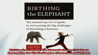 EBOOK ONLINE  Birthing the Elephant The Womans GoForIt Guide to Overcoming the Big Challenges of  DOWNLOAD ONLINE