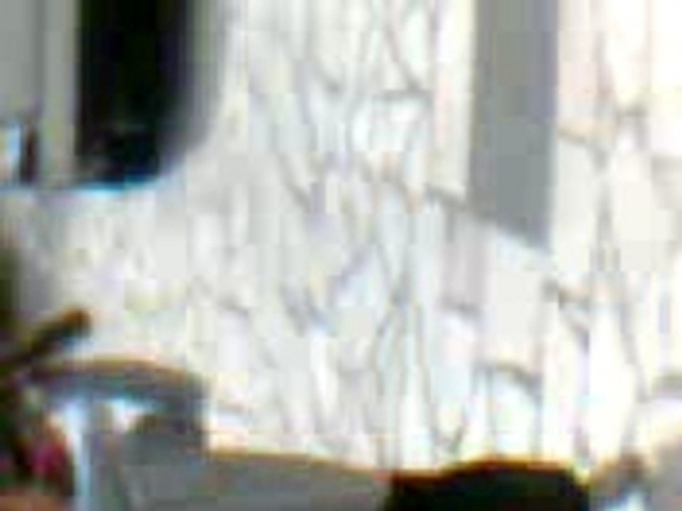 Vido001
