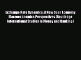 [PDF] Exchange Rate Dynamics: A New Open Economy Macroeconomics Perspectives (Routledge International