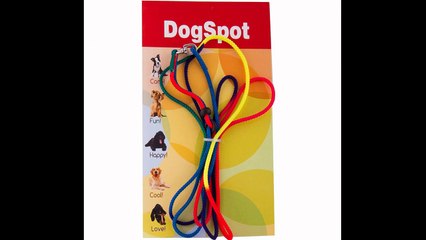 Dog Boarding San Diego