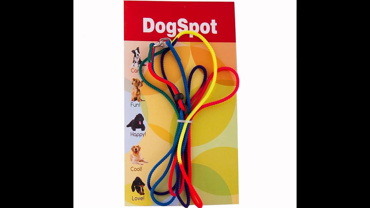 Dog Boarding San Diego