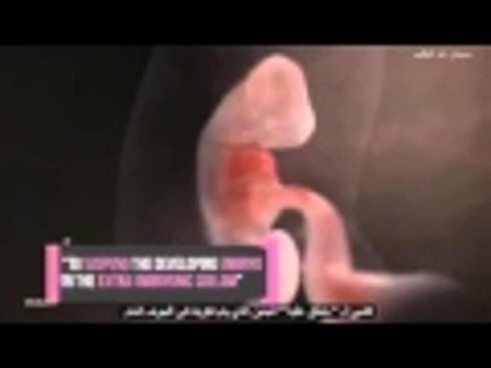 سبحان الله وبحمده,سبحان الله العظيم{وَمَا يَنطِقُ عَنِ الْهَوَى}{إِنْ هُوَ إِلَّا وَحْيٌ يُوحَى