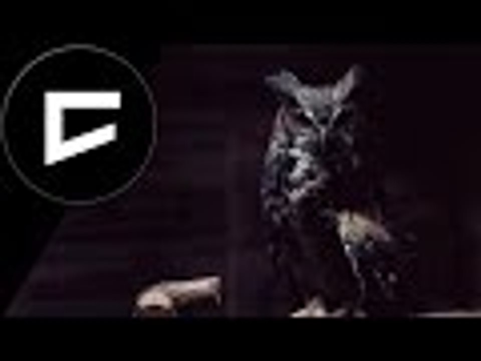 IKAROS X TASUS G - THE OWL