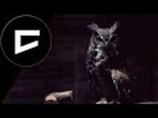 IKAROS X TASUS G - THE OWL