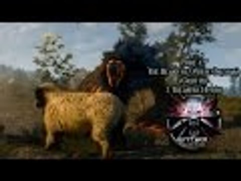 The Witcher 3 [P12] - The Beast of White Orchard (Griffin) & 2 Treasure Hunts