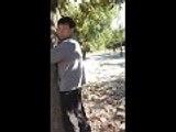 Man Caught Humping A Tree 