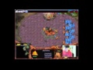 Connor5620: 스타크래프트 Starcraft Brood War [FPVOD YellOw 홍진호] (Z) vs tirnena (T) Fighting Spirit 투혼