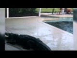 إخراج تمساح ضخم تسلل الى حوض سباحة بولاية فلوريدا