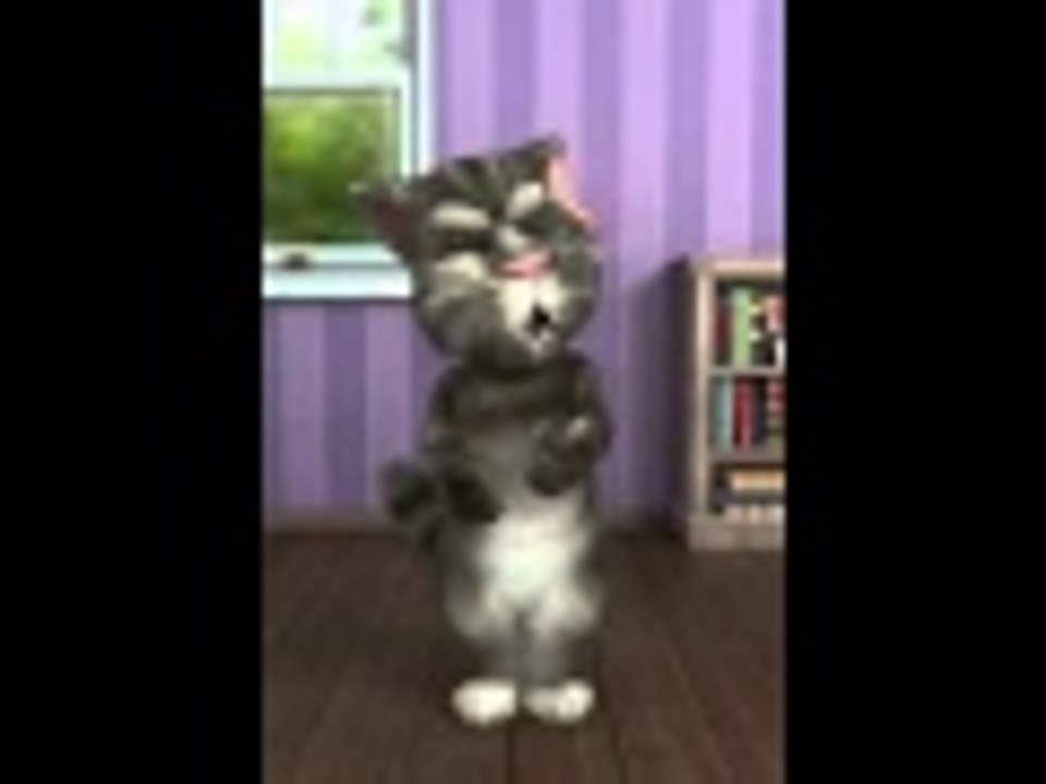 Talking Tom RMX