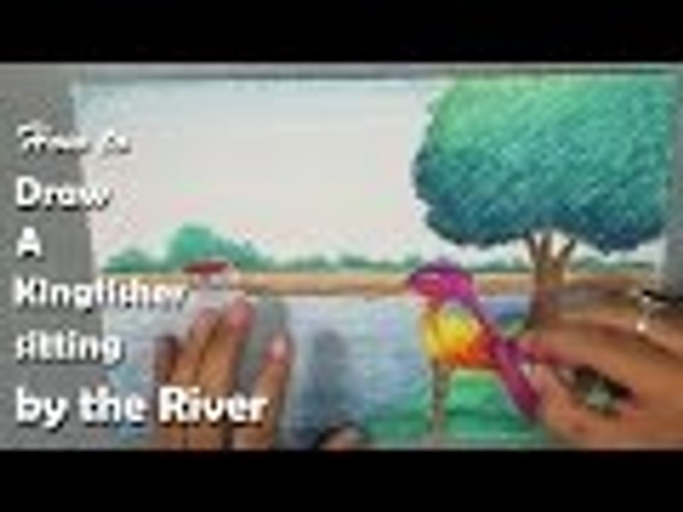 Beginners Drawing | How to Draw a Kingfisher sitting by the river