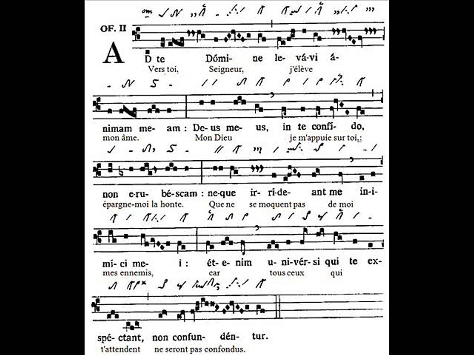Offertorium Ad te Domine, Dominica XV TpA (15è TO)