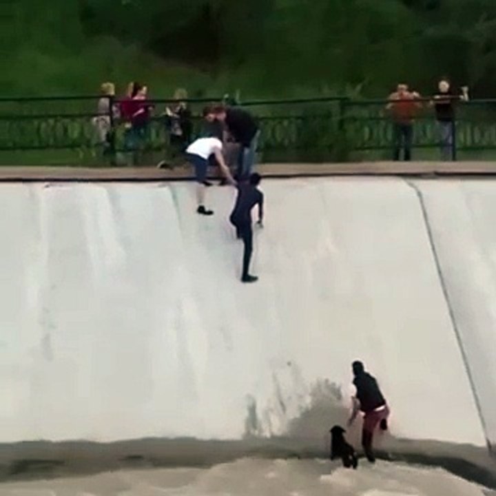 Teamwork to Save a Dog