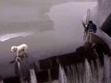 Un village entier mobilisé pour sauver ce pauvre chien piégé dans une inondation