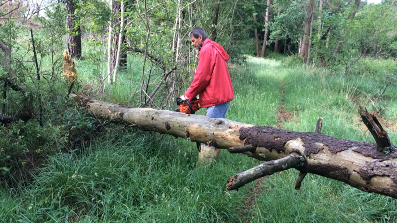Les bénévoles de Kemper VTT dégagent les sentiers du Ménez-Hom