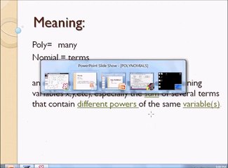 Understanding Polynomials