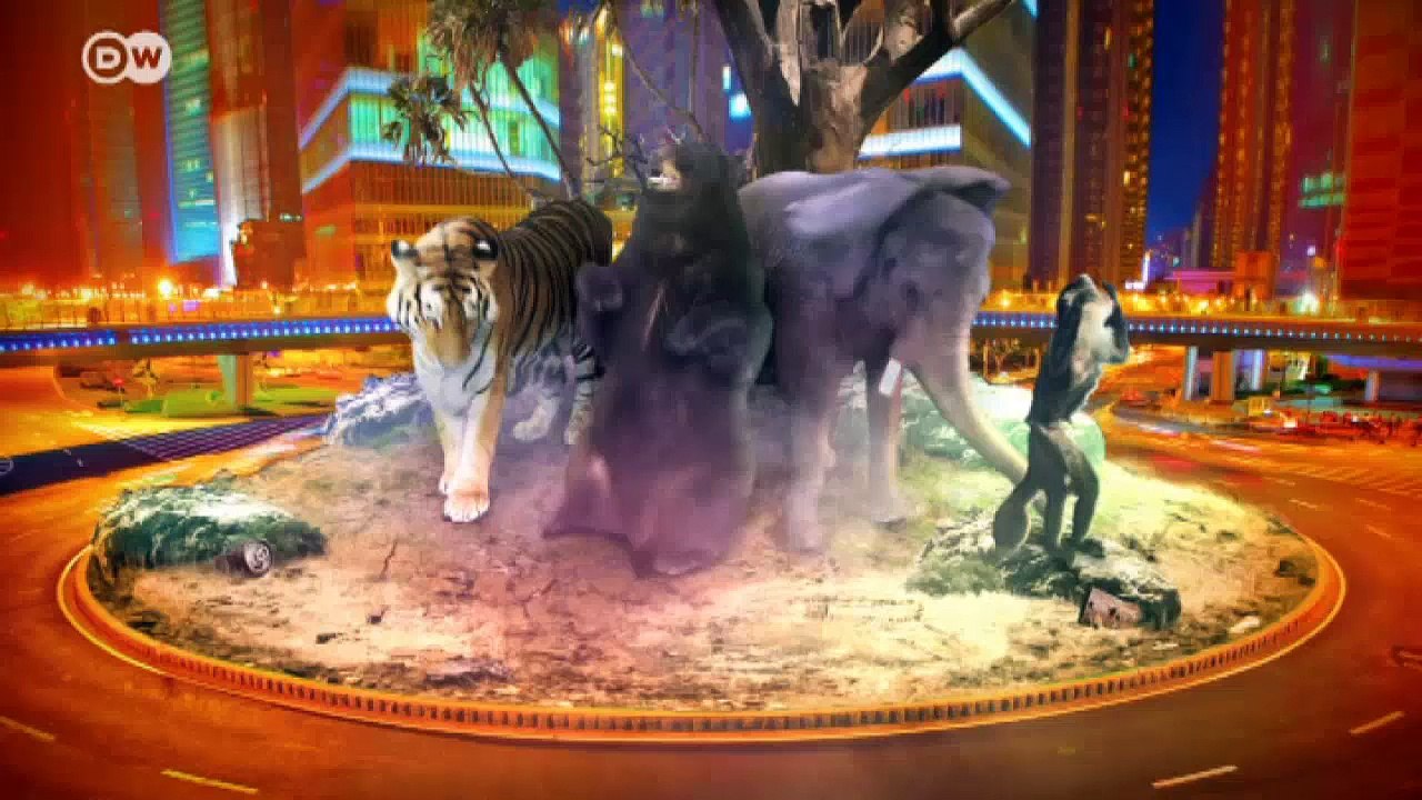 Wenn Bären und Menschen gern das Gleiche (fr)essen | Wissen & Umwelt