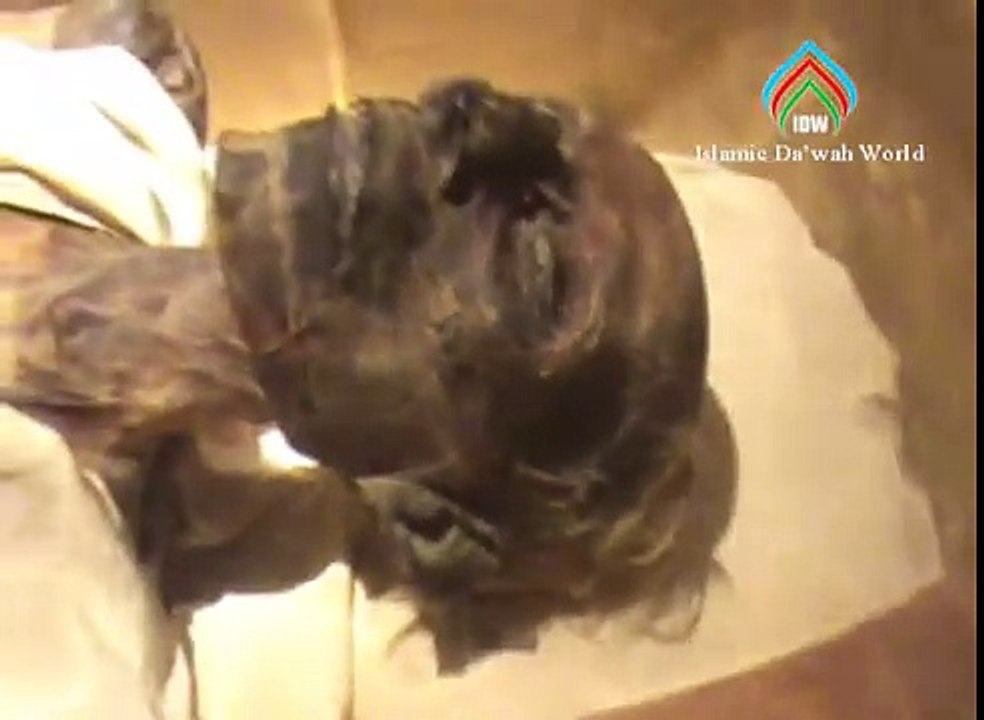 Firon-Mummy--in-Egypt-Museum || Must Watch Video
