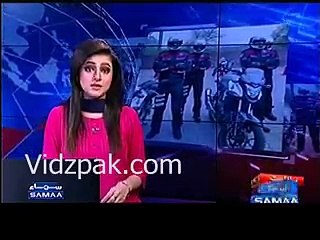 Newly formed Dohphin force started taking bribe - Samaa TV Report