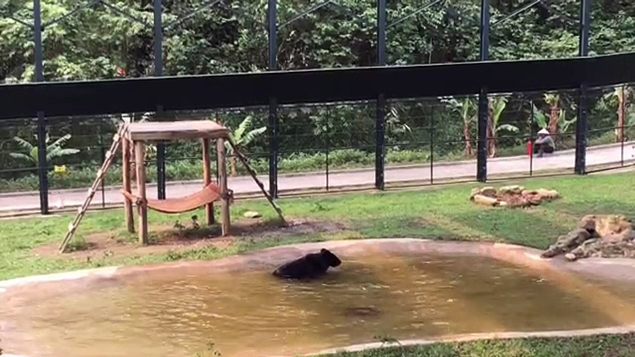 Dopo 9 anni di torture finalmente è libero. Ecco la sua prima volta a contatto con l'acqua!