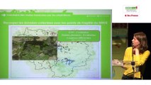 L'inventaire des routes traversées par les amphibiens par Lucile Dewulf, Natureparif