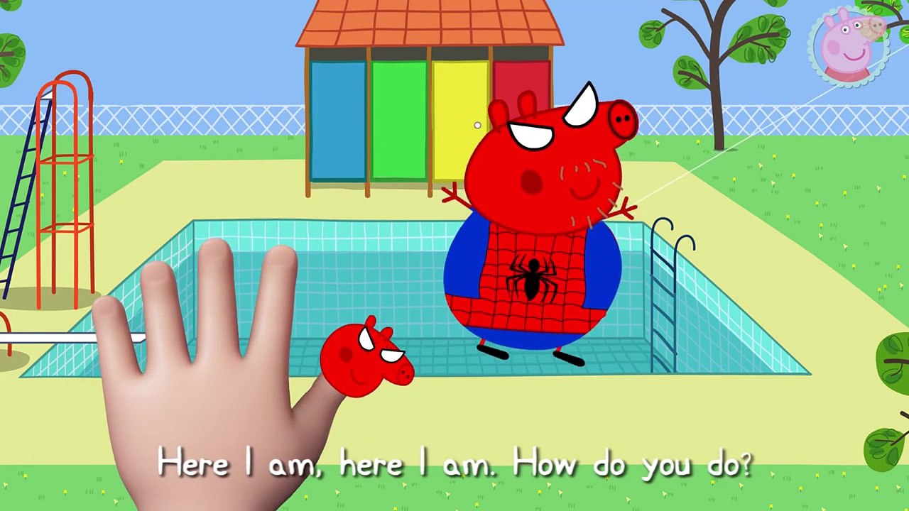 Peppa Pig#Peppa Pig Spider Man#Finger Family