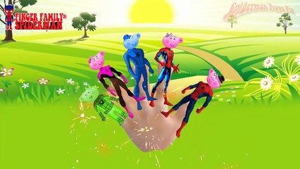 Finger Family Spiderman Transfiguration Peppa pig ♫ Nursery Rhymes For Children ♫ Kids Songs